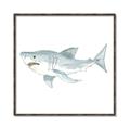 Picture of Great White _GroupedProduct_Square_Mini_ _GroupedProduct_Square_Canvas_Framed_