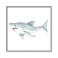Picture of Great White _GroupedProduct_Square_Mini_ _GroupedProduct_Square_Canvas_Framed_