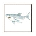 Picture of Great White _GroupedProduct_Square_Mini_ _GroupedProduct_Square_Canvas_Framed_