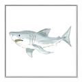 Picture of Great White _GroupedProduct_Square_Mini_ _GroupedProduct_Square_Canvas_Framed_