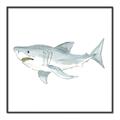 Picture of Great White _GroupedProduct_Square_Mini_ _GroupedProduct_Square_Canvas_Framed_