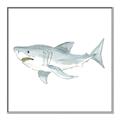 Picture of Great White _GroupedProduct_Square_Mini_ _GroupedProduct_Square_Canvas_Framed_