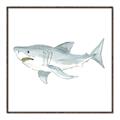 Picture of Great White _GroupedProduct_Square_Mini_ _GroupedProduct_Square_Canvas_Framed_