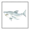 Picture of Great White _GroupedProduct_Square_Mini_ _GroupedProduct_Square_Canvas_Framed_