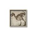 Picture of Dino Skeleton I _GroupedProduct_Square_Mini_ _GroupedProduct_Square_Canvas_Framed_