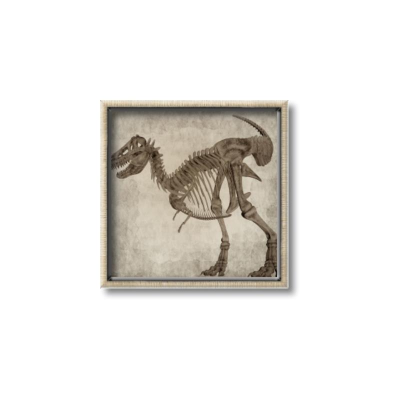 Picture of Dino Skeleton I _GroupedProduct_Square_Mini_ _GroupedProduct_Square_Canvas_Framed_