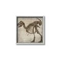 Picture of Dino Skeleton I _GroupedProduct_Square_Mini_ _GroupedProduct_Square_Canvas_Framed_
