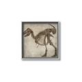 Picture of Dino Skeleton I _GroupedProduct_Square_Mini_ _GroupedProduct_Square_Canvas_Framed_