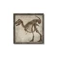 Picture of Dino Skeleton I _GroupedProduct_Square_Mini_ _GroupedProduct_Square_Canvas_Framed_