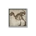 Picture of Dino Skeleton I _GroupedProduct_Square_Mini_ _GroupedProduct_Square_Canvas_Framed_