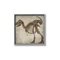 Picture of Dino Skeleton I _GroupedProduct_Square_Mini_ _GroupedProduct_Square_Canvas_Framed_