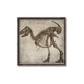 Picture of Dino Skeleton I _GroupedProduct_Square_Mini_ _GroupedProduct_Square_Canvas_Framed_