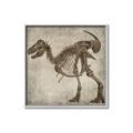 Picture of Dino Skeleton I _GroupedProduct_Square_Mini_ _GroupedProduct_Square_Canvas_Framed_