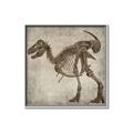Picture of Dino Skeleton I _GroupedProduct_Square_Mini_ _GroupedProduct_Square_Canvas_Framed_