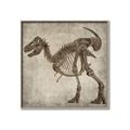 Picture of Dino Skeleton I _GroupedProduct_Square_Mini_ _GroupedProduct_Square_Canvas_Framed_