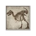 Picture of Dino Skeleton I _GroupedProduct_Square_Mini_ _GroupedProduct_Square_Canvas_Framed_