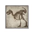 Picture of Dino Skeleton I _GroupedProduct_Square_Mini_ _GroupedProduct_Square_Canvas_Framed_