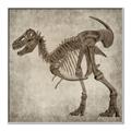 Picture of Dino Skeleton I _GroupedProduct_Square_Mini_ _GroupedProduct_Square_Canvas_Framed_