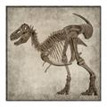 Picture of Dino Skeleton I _GroupedProduct_Square_Mini_ _GroupedProduct_Square_Canvas_Framed_