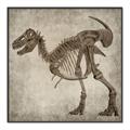 Picture of Dino Skeleton I _GroupedProduct_Square_Mini_ _GroupedProduct_Square_Canvas_Framed_