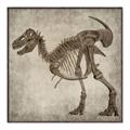 Picture of Dino Skeleton I _GroupedProduct_Square_Mini_ _GroupedProduct_Square_Canvas_Framed_