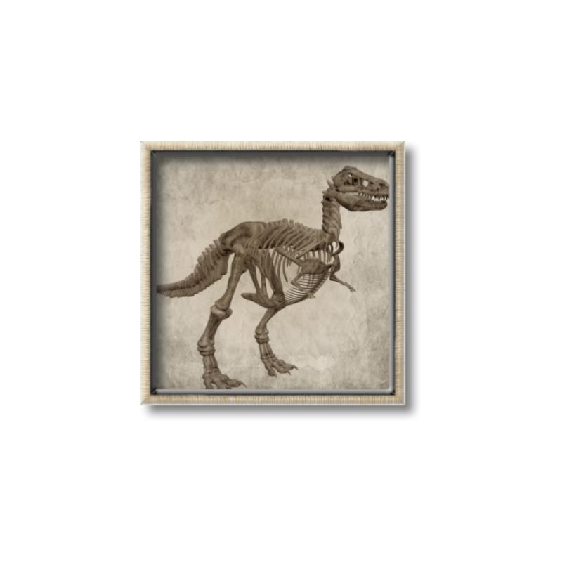 Picture of Dino Skeleton II _GroupedProduct_Square_Mini_ _GroupedProduct_Square_Canvas_Framed_