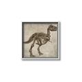 Picture of Dino Skeleton II _GroupedProduct_Square_Mini_ _GroupedProduct_Square_Canvas_Framed_