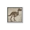 Picture of Dino Skeleton II _GroupedProduct_Square_Mini_ _GroupedProduct_Square_Canvas_Framed_
