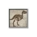Picture of Dino Skeleton II _GroupedProduct_Square_Mini_ _GroupedProduct_Square_Canvas_Framed_