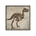 Picture of Dino Skeleton II _GroupedProduct_Square_Mini_ _GroupedProduct_Square_Canvas_Framed_