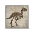 Picture of Dino Skeleton II _GroupedProduct_Square_Mini_ _GroupedProduct_Square_Canvas_Framed_