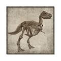 Picture of Dino Skeleton II _GroupedProduct_Square_Mini_ _GroupedProduct_Square_Canvas_Framed_