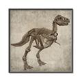 Picture of Dino Skeleton II _GroupedProduct_Square_Mini_ _GroupedProduct_Square_Canvas_Framed_