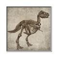 Picture of Dino Skeleton II _GroupedProduct_Square_Mini_ _GroupedProduct_Square_Canvas_Framed_