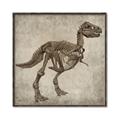 Picture of Dino Skeleton II _GroupedProduct_Square_Mini_ _GroupedProduct_Square_Canvas_Framed_