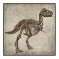 Picture of Dino Skeleton II _GroupedProduct_Square_Mini_ _GroupedProduct_Square_Canvas_Framed_