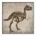 Picture of Dino Skeleton II _GroupedProduct_Square_Mini_ _GroupedProduct_Square_Canvas_Framed_