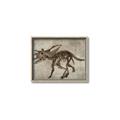 Picture of Dino Skeleton III _GroupedProduct_Rectangle_Landscape_Mini_ _GroupedProduct_Rectangle_Landscape_Canvas_Framed_