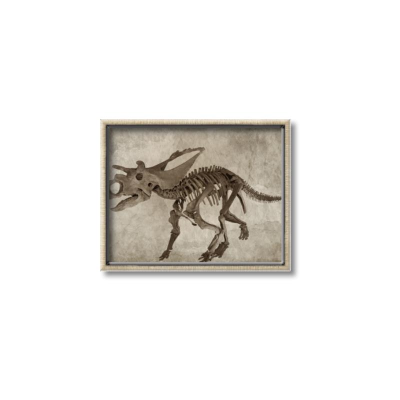 Picture of Dino Skeleton III _GroupedProduct_Rectangle_Landscape_Mini_ _GroupedProduct_Rectangle_Landscape_Canvas_Framed_