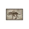 Picture of Dino Skeleton III _GroupedProduct_Rectangle_Landscape_Mini_ _GroupedProduct_Rectangle_Landscape_Canvas_Framed_