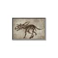 Picture of Dino Skeleton III _GroupedProduct_Rectangle_Landscape_Mini_ _GroupedProduct_Rectangle_Landscape_Canvas_Framed_