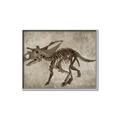 Picture of Dino Skeleton III _GroupedProduct_Rectangle_Landscape_Mini_ _GroupedProduct_Rectangle_Landscape_Canvas_Framed_