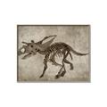 Picture of Dino Skeleton III _GroupedProduct_Rectangle_Landscape_Mini_ _GroupedProduct_Rectangle_Landscape_Canvas_Framed_