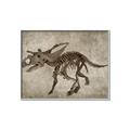 Picture of Dino Skeleton III _GroupedProduct_Rectangle_Landscape_Mini_ _GroupedProduct_Rectangle_Landscape_Canvas_Framed_