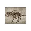 Picture of Dino Skeleton III _GroupedProduct_Rectangle_Landscape_Mini_ _GroupedProduct_Rectangle_Landscape_Canvas_Framed_