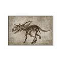 Picture of Dino Skeleton III _GroupedProduct_Rectangle_Landscape_Mini_ _GroupedProduct_Rectangle_Landscape_Canvas_Framed_