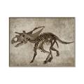 Picture of Dino Skeleton III _GroupedProduct_Rectangle_Landscape_Mini_ _GroupedProduct_Rectangle_Landscape_Canvas_Framed_