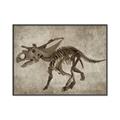 Picture of Dino Skeleton III _GroupedProduct_Rectangle_Landscape_Mini_ _GroupedProduct_Rectangle_Landscape_Canvas_Framed_