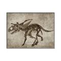 Picture of Dino Skeleton III _GroupedProduct_Rectangle_Landscape_Mini_ _GroupedProduct_Rectangle_Landscape_Canvas_Framed_