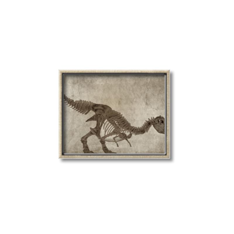 Picture of Dino Skeleton IV _GroupedProduct_Rectangle_Landscape_Mini_ _GroupedProduct_Rectangle_Landscape_Canvas_Framed_